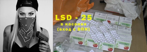 прущие грибы Кодинск